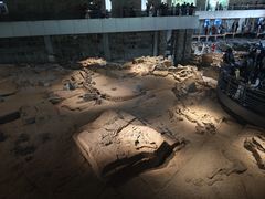 -自贡恐龙博物馆