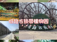-呀路古热带植物园