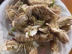 -天天渔港海鲜酒家(石浦玉泉路店)