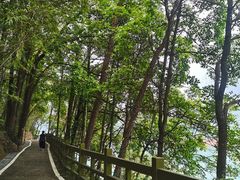 -广州市流溪河国家森林公园