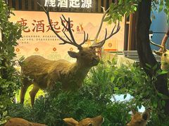 -甘肃国际会展中心