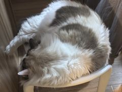 -白兔子密室(长寿路店)