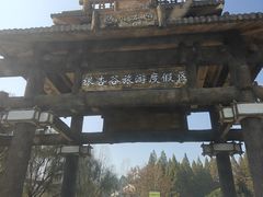 -千年银杏谷文化旅游区