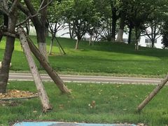 -堤角公园
