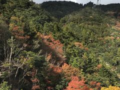 -神户市立六甲山牧场