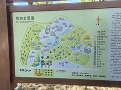 -广东茂名森林公园