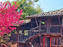 -福建鲤鱼洲酒店