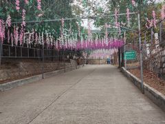 -北京十三陵国家森林公园蟒山景区