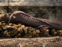 -中国湿地博物馆