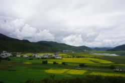 -纳帕海依拉草原
