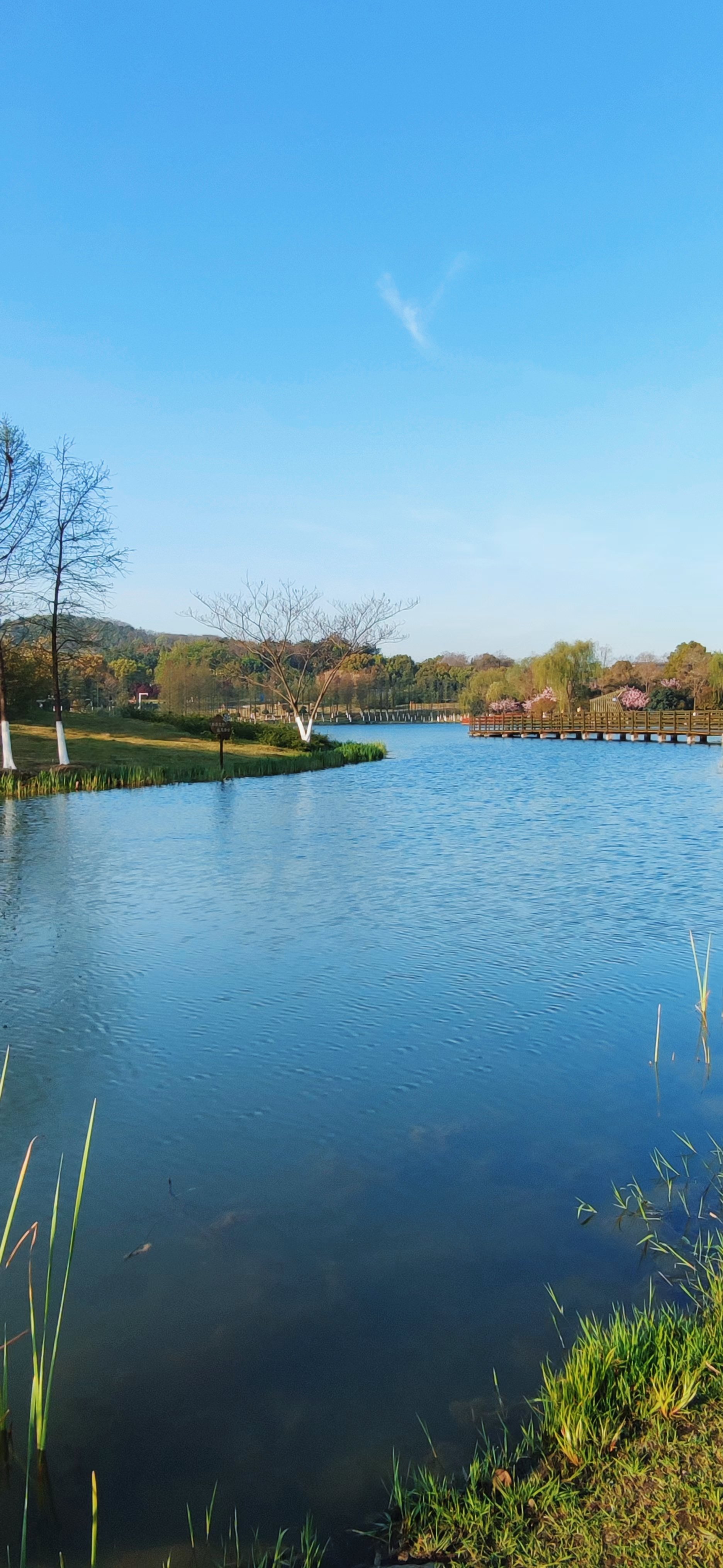 溧阳燕山公园平面图图片