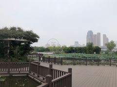 -天津水上公园