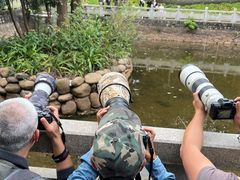 -中山市树木园
