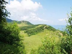 -白草畔自然风景区