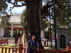 -黄帝陵