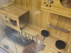 -剧狐剧本杀·月球探案馆(人民广场1号店)