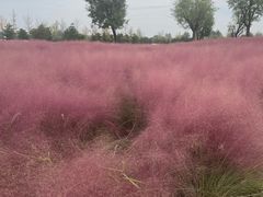 -汉长安城未央宫国家考古遗址公园