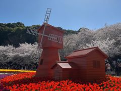 -苏州上方山国家森林公园