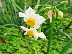 -共青国家森林公园-售票处