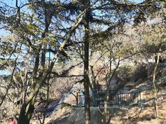 -信号山公园