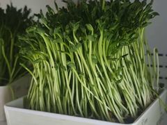 -钢管厂五区小郡肝串串香火锅(梅川路店)