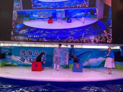 -成都浩海立方海洋公园