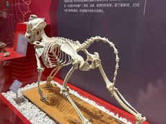 -国家自然博物馆