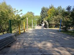 -长白岛森林公园