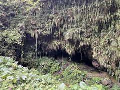 -海口火山口国家地质公园