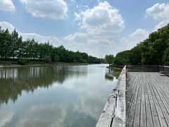 -南翔镇银翔湖公园