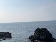 -涉地可支