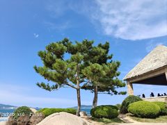 -悦海公园
