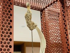 -二酉书店TOYOU BOOKS