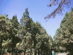 -西北农林科技大学(北校区)