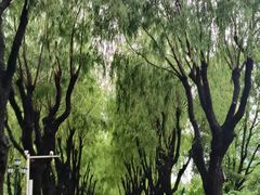 -哈尔滨文化公园