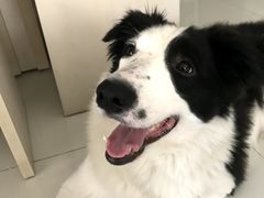 -纳吉亚猫专科动物医院·北北分院