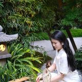 成都‼️这家中式庭院真的好惬意🍃