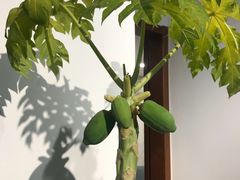 -卖花卖汤(荣祥广场店)