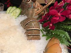 -大红袍火锅料理(尖沙咀店)