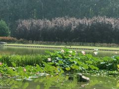 -仁和公园(顺义区)