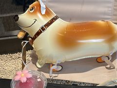 -J Create城市露营咖啡·简餐·宠物(上海动物园店)