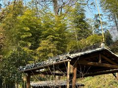 -塔川景区