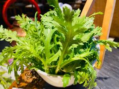 -南门四季铜锅涮肉(左家庄店)
