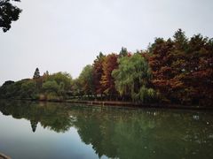 -西溪国家湿地公园