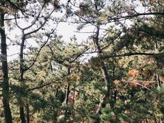 -青岛崂山太清宫