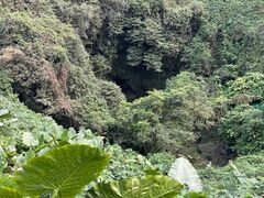 -海口火山口国家地质公园
