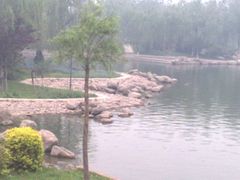 -石家庄市植物园