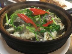 鱼头煲-美极鲜食坊(宝安南路店)