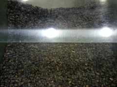 -刘艳明炒货(小心桥店)