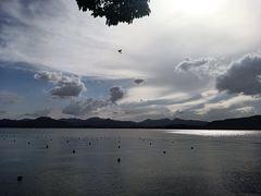 -杭州君悦酒店
